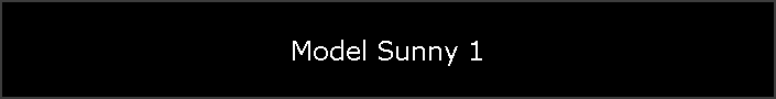 Model Sunny 1